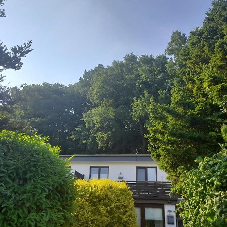 Apartment Am Waldrand 1 Person ,Gemuetlich, Nichtraucher Itzehoe Exteriör bild